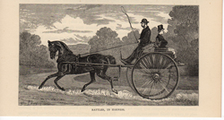 Antique equestrian prints